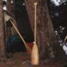 paddles