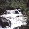 stream