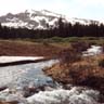 icy cold water