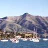 boats